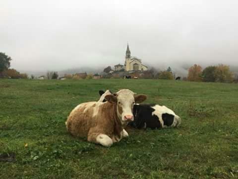 Apartmán Le Teggie Sestola Exteriér fotografie